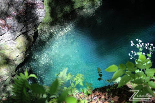 Titelbild Lebenszirkel